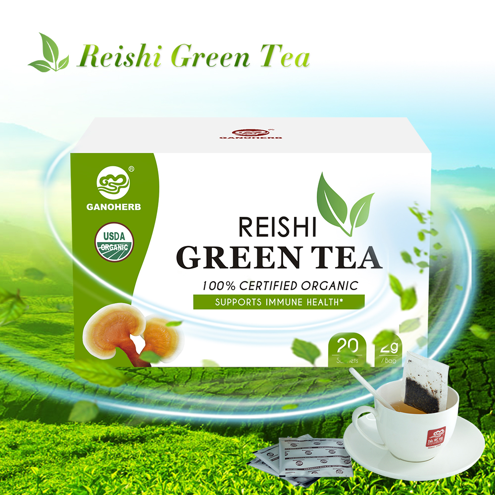Private Label USDA Organic Reishi Mushroom Green Tea Bags Instant